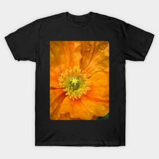 The Heart of a Poppy in Bloom T-Shirt